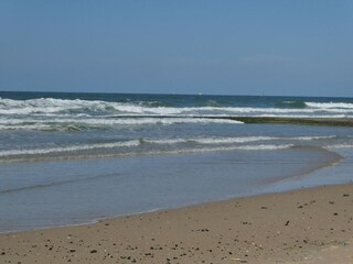 Apartment Westende Environment 32