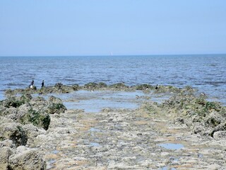Apartment Westende Environment 33