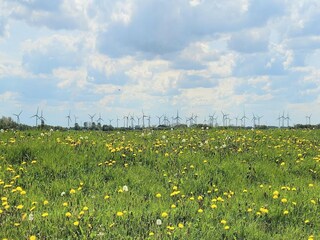 Casa per le vacanze Westerbur Ambiente 32