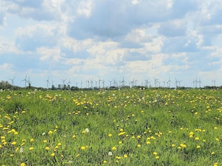 Maison de vacances Westerbur Environnement 36
