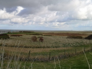 Maison de vacances Westerbur Environnement 18