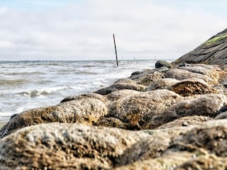 Maison de vacances Westerbur Environnement 18