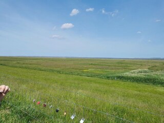 Vakantiehuis Westerbur Omgeving 19