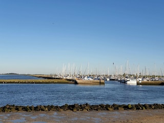 Holiday house Westerbur Environment 40