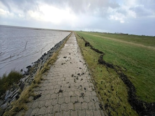 Vakantiehuis Westerbur Omgeving 38