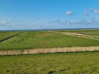 Vakantiehuis Westerbur Omgeving 21