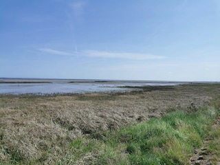 Holiday house Westerbur Environment 29