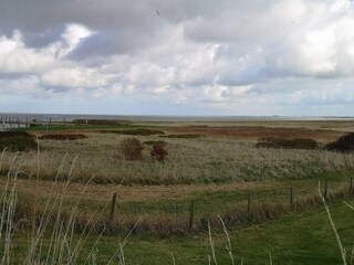 Vakantiehuis Westerbur Omgeving 26