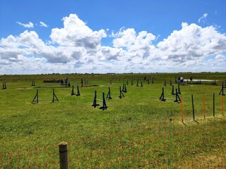 Maison de vacances Neßmersiel Environnement 16