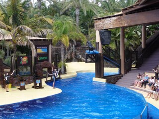 Villa Costa Calma Ambiente 24