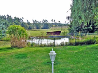 Teich