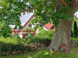 Schaukel