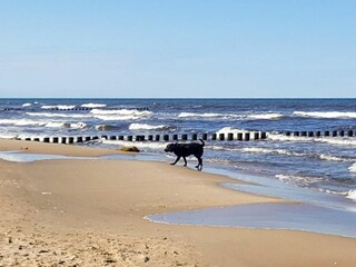 Ostseestrand Bansin