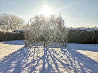 Garten - Winter