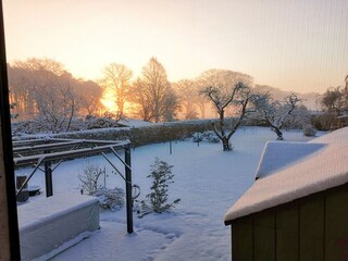 Garten - Winter