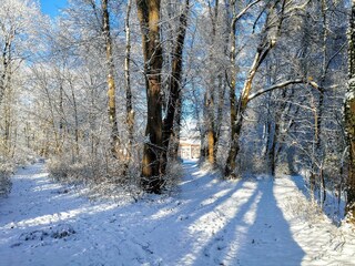 Umgebung - Winter