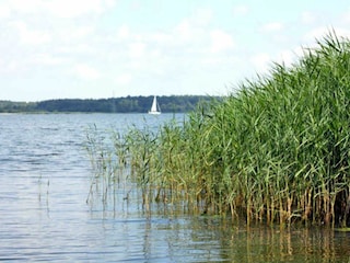 Umgebung