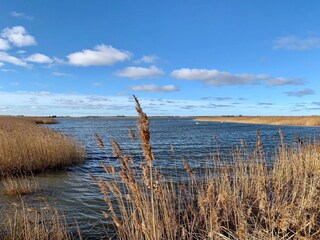Bodden