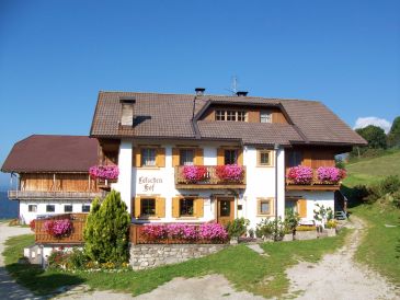 Ferienwohnung 2 im Bauernhof Latschenhof 3 Blumen