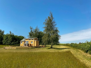 Garten mit Tiny House