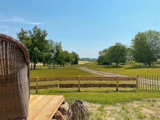 Ausblick auf den Garten