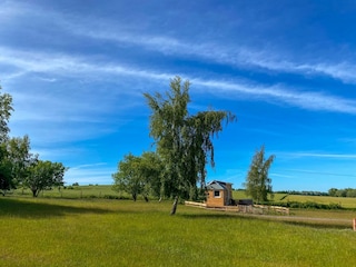Garten mit Tiny House
