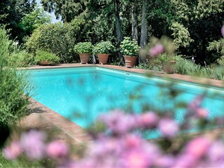 Villa Castellina in Chianti Outdoor Recording 1
