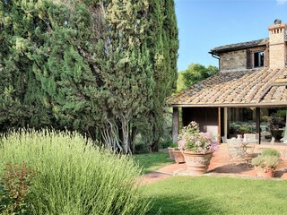 Villa Castellina in Chianti Environment 49