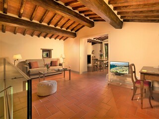 Villa Castellina in Chianti Features 38
