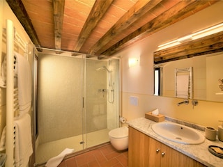 Villa Castellina in Chianti Features 47
