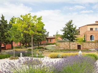 Apartment Torrita di Siena Außenaufnahme 9