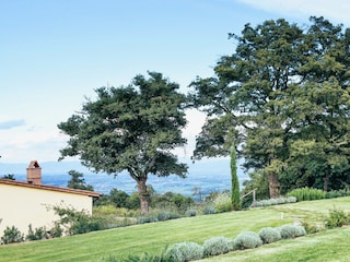 Apartment Torrita di Siena Environment 24