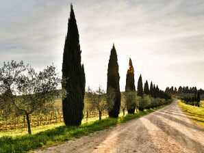 Apartment Fattoria del Chianti close to Florence for four - Rignano sull'Arno - image1