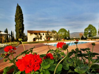 Apartment Rignano sull'Arno Outdoor Recording 4