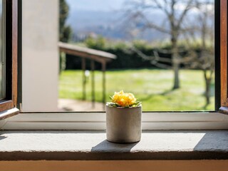 Apartment Rignano sull'Arno Umgebung 31