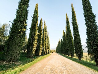 Apartment Rignano sull'Arno Environment 26