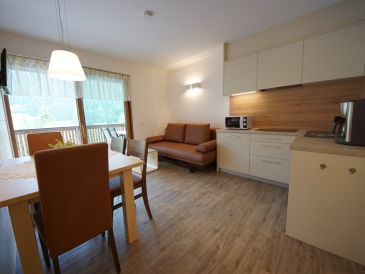 Apartment Comfort in der Residence Plan de Corones