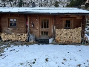 Rustikale Hütte Salzburg nahe Skipisten
