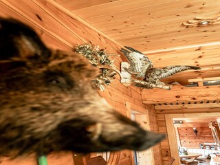 Casa per le vacanze Neukirchen am Großvenediger Caratteristiche 14