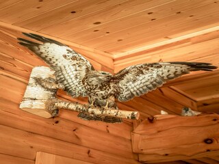 Vakantiehuis Neukirchen am Großvenediger  39