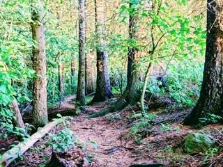 Ferienhaus Juelsminde  38