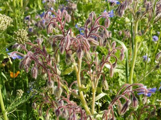 Holiday house Juelsminde  31