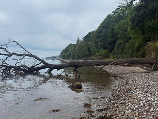 Vakantiehuis Juelsminde  33