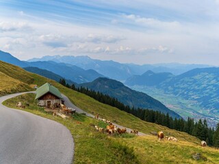 Apartment Fügen Environment 32