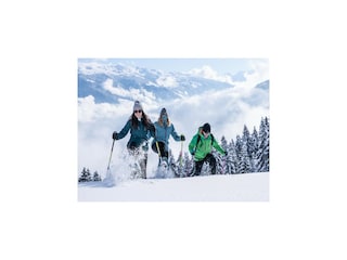 Apartment Fügen Environment 34