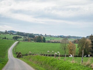 Vakantiehuis Durbuy Omgeving 37