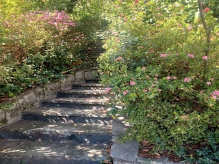 Casa per le vacanze Premeno Registrazione all'aperto 6