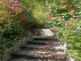 Ferienhaus Premeno Außenaufnahme 5