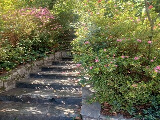 Ferienhaus Premeno Außenaufnahme 8