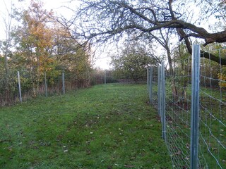 Hundeauslauf ca. 12 x 4 Meter